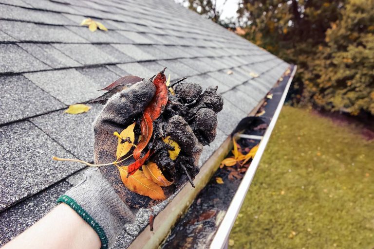 The Importance of Gutter Maintenance for Your Roof's Health