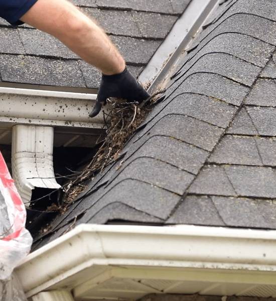 Gutter Cleaning Service